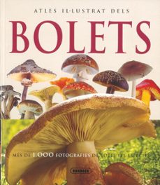 atles il·lustrat dels bolets-9788467700350