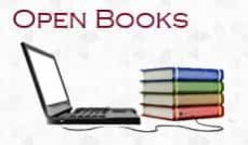 geologia, mineralogia y genesis de las mineralizaciones de wollas tonita de merida (extremadura)-juan carlos fern�ndez caliani-9788488751850