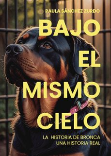 bajo el mismo cielo-paula sanchez zurdo-9797393951750