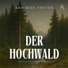 der hochwald - horbuch klassiker (audiolibro)-adalbert stifter-4069828794160