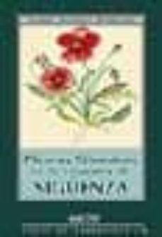 plantas silvestres de la comarca de siguenza-eusebio gonzalo hernando-9788495179630