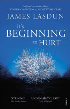 it's beginning to hurt (ebook)-james lasdun-9781446418260