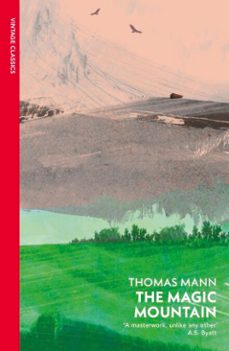 the magic mountain-thomas mann-9781446468760