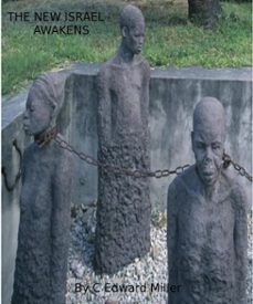 the new israel awakens (ebook)-rev. c edward miller-9781452477060