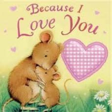 because i love you (board book)-julia hubery-9781848952560