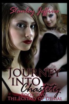 journey into chastity (ebook)-stanley jeffries-9781935897460