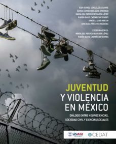 juventud y violencia en mexico (ebook)-jose igor israel gonzalez aguirre-aurea esther grijalva eternod-arturo ron grajales-9786078676460