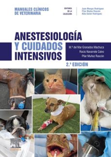 -maria del mar granados machuca-rocio navarrete calvo-pilar muñoz rascon-9788413829760