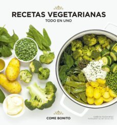 recetas vegetarianas. todo en uno-sabrina fauda role-akiko ida-9788418260360