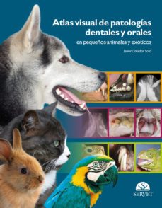atlas visual de patologias dentales y orales en pequeños animales y exoticos-javier collados soto-9788493597160
