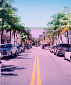 qui salta?-9788868907860