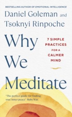 why we meditate : 7 simple practices for a calmer mind-daniel goleman-9780241527870