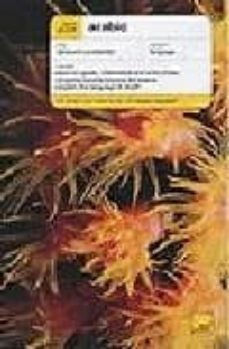 teach yourself arabic-j r f smart-9780340869970