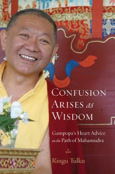 confusion arises as wisdom (ebook)-ringu tulku-9780834828070