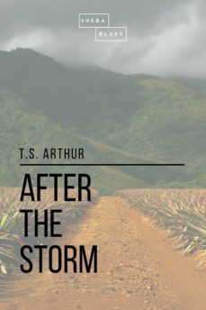 after the storm (ebook)-sheba blake-9781387268870