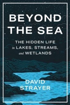 beyond the sea-david strayer-9781421450070