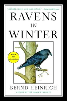 ravens in winter (ebook)-bernd heinrich-9781476794570