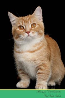 munchkin cat presents-9781526964670