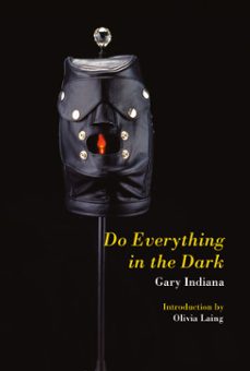 do everything in the dark (ebook)-gary indiana-9781635901870