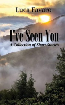 ive seen you-9781642042870