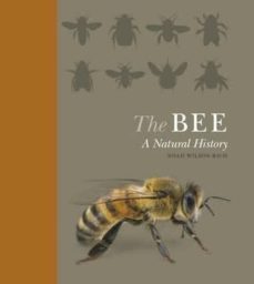 the bee: a natural history-noah wilson rich-9781782401070