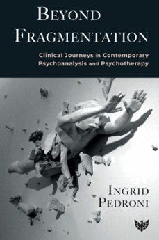 beyond fragmentation (ebook)-ingrid pedroni-9781800131170
