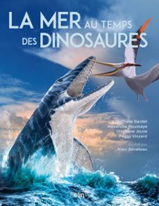 -alain beneteau-nathalie bardet-alexandra houssaye-9782410025170