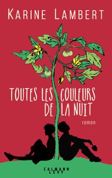 toutes les couleurs de la nuit (ebook)-karine lambert-9782702165270