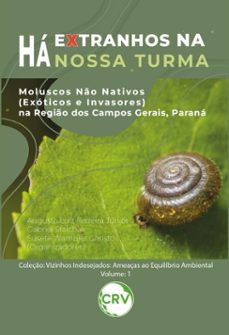 ha extranhos na nossa turma (ebook)-augusto luiz fereira júnior-9786525173870