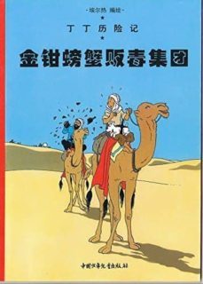 tintin 08/jinqian pangzie fandu jituan (chino/16x21)-9787500760870