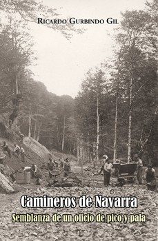 camineros de navarra-ricardo gurbindo gil-9788409233670