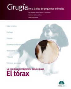 el torax. cirugia en la clinica de pequeños animales-jose rodriguez gomez-9788492569670