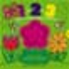 coleccion vista magica (incluye: numeros; animales; formas; prime ras palabras)-9788497962070