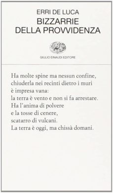 bizzarrie della provvidenza-9788806209070