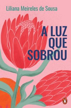 -liliana meireles de sousa-9789895965670