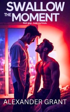 swallow the moment (ebook)-alexander grant-9798233070570