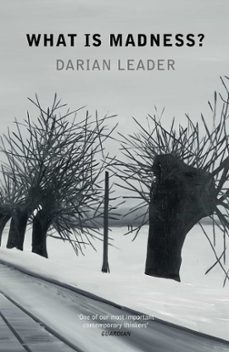 what is madness? (ebook)-darian leader-9780141955780