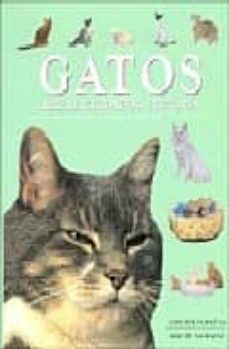 gatos: razas, cuidados, historia (1000 fotografias, mas de 300 ra zas)-michael pollard-9781405449380