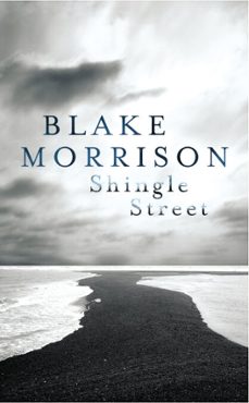 shingle street (ebook)-blake morrison-9781448190980