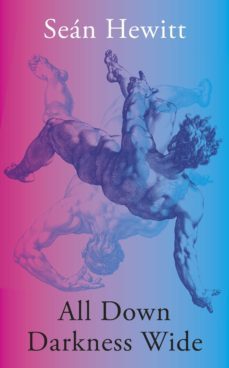 all down darkness wide (ebook)-sean hewitt-9781473591080