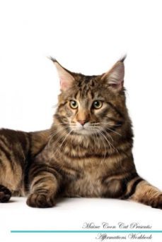 maine coon cat affirmations workbook maine coon cat presents-9781526971180