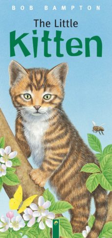 the little kitten (ebook)-bob bampton-9783815587980