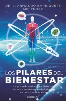 los pilares del bienestar (ebook)-jorge armando barriguete-9786073187480