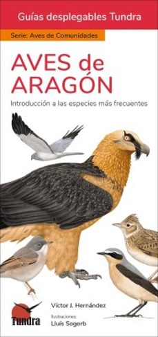 aves de aragon - guias desplegables tundra-9788419624680
