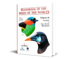 -andrew elliott, jordi sargatal, david a. christie josep del hoyo-9788496553880