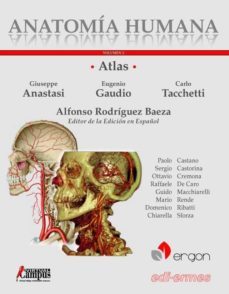 atlas anatomia humana t. ii-9788870515480