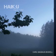 haik:u ...fast inte-9789180276580