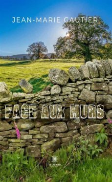 face aux murs (ebook)-9791037767080