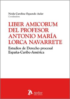 liber amicorum del profesor antonio maria lorca navarrete-neida carolina oquendo aular-9791387543280