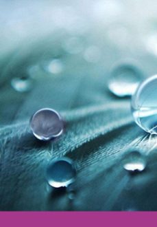 retratos de baudelaire (ebook)-eric ponty-3410008867890